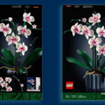 LEGO 10311 Orchidea