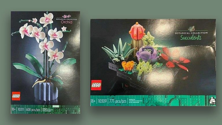 Dwie kolejne roślinki w LEGO Botanical Collection?